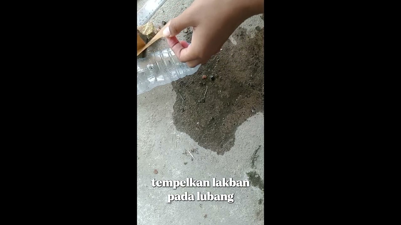 Praktikum Tekanan Hidrostatis fisika kelas XI merdeka 3 