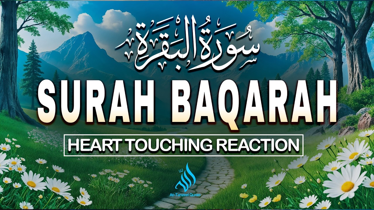 Surah Al-Baqarah (سورة البقرة) | Rizq, Ruqyah, Protection & Peaceful Quran Reaction | Alaa Aqel