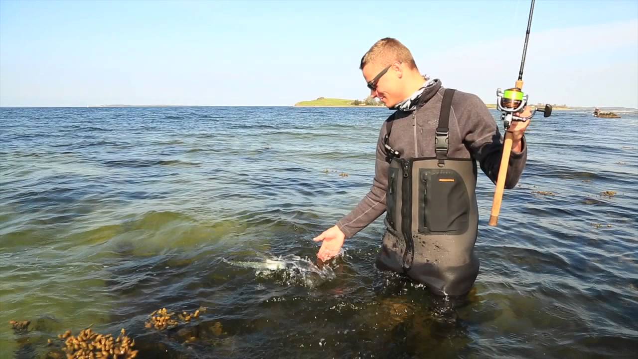 Havørredfiskeri på Fyn med Fisch und Fang.