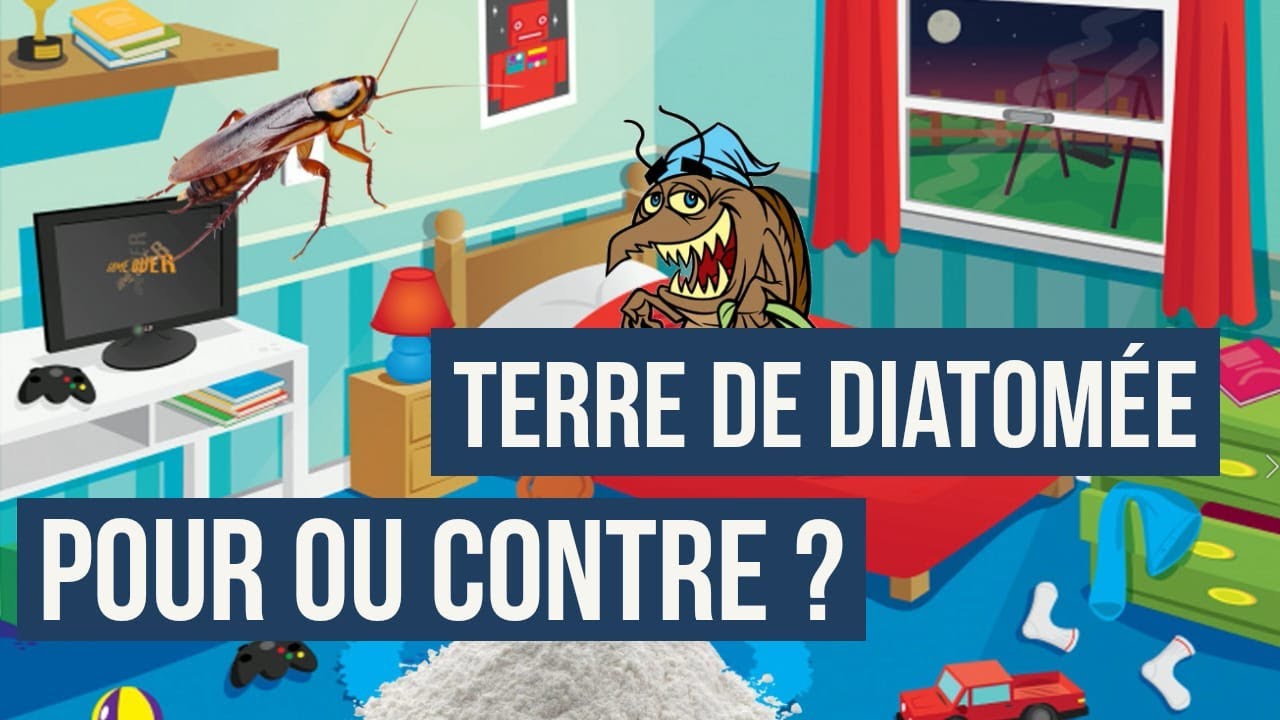 La terre de diatom&eacute;e : Avantages et inconv&eacute;nients en d&eacute;sinsectisation. Conseils et pr&eacute;conisations.