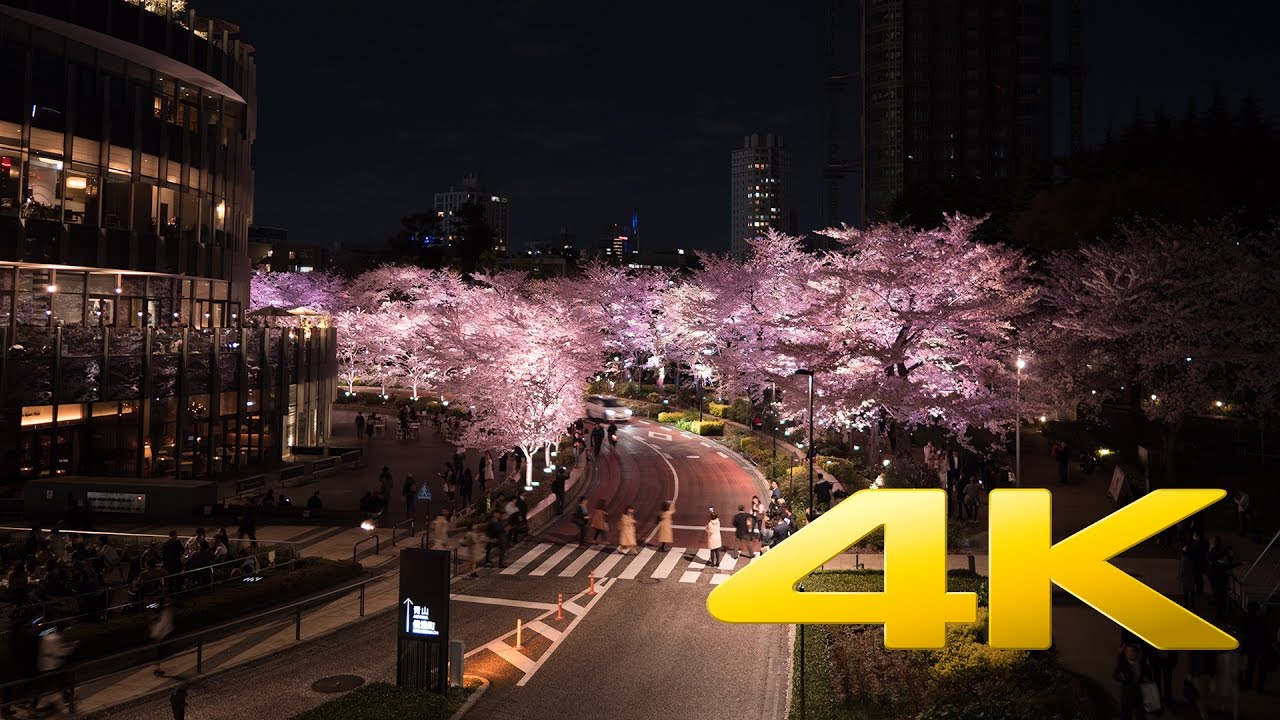 Tokyo Midtown Cherry Blossoms illumination - Tokyo - 東京ミッドタウン - 4K Ultra HD