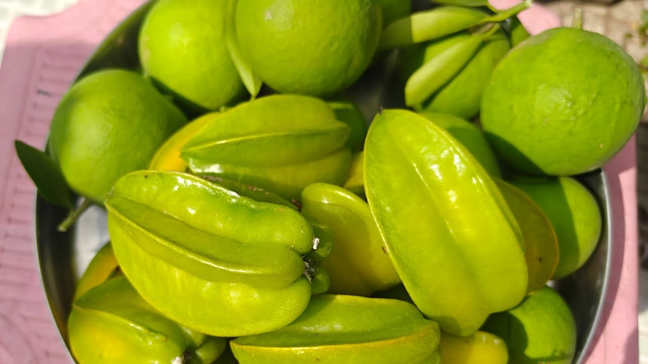 Terrace Garden harvest/ mosambi / Star fruit 🍋‍🟩🫒