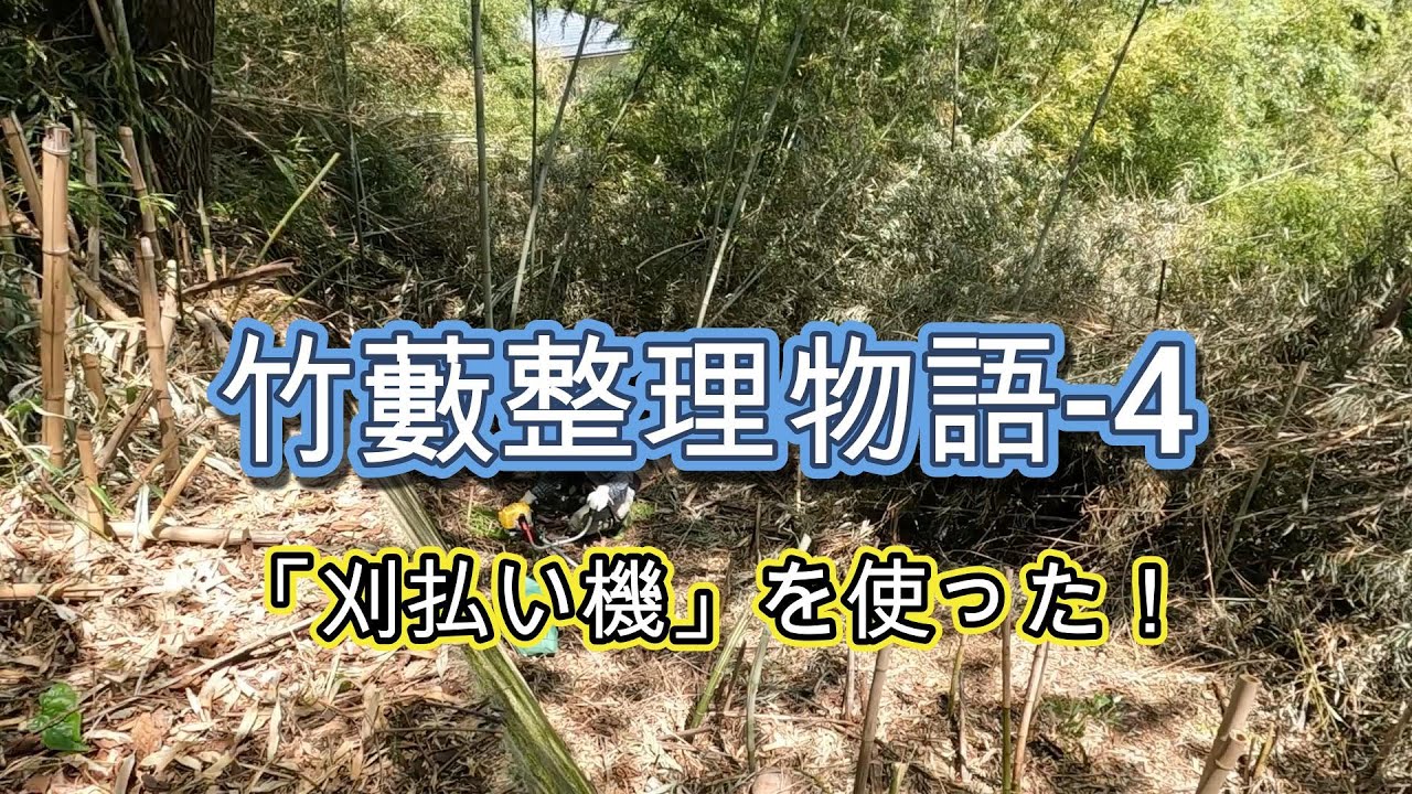 50年前に買った「土地」と闘う「竹藪整理物語-4」