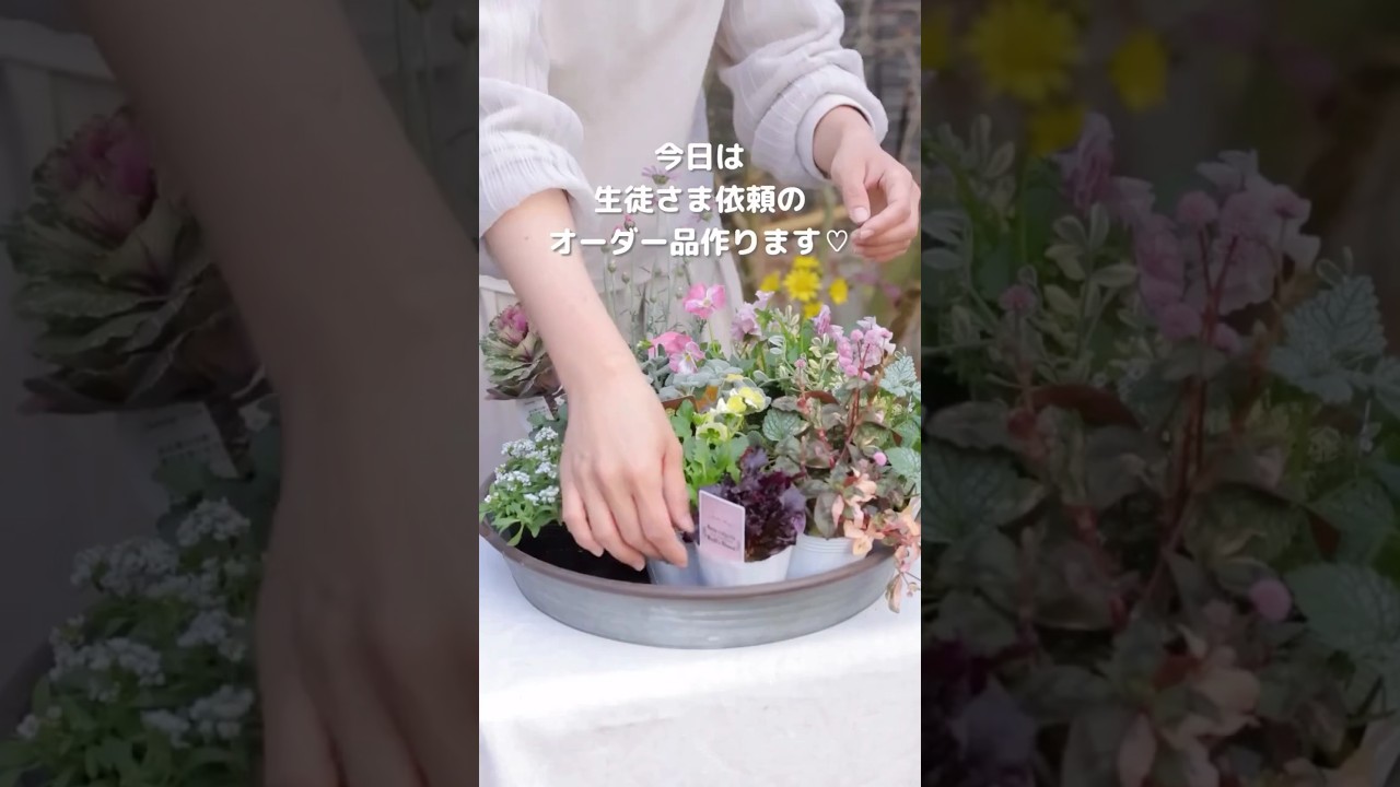 #ギャザリング寄せ植え #ギャザリング #寄せ植え #庭のある暮らし #gardeningideas #flowerarrangement #園芸
