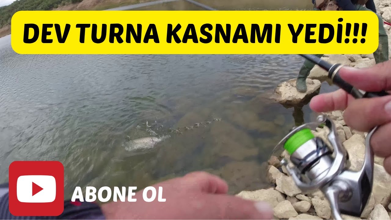 DEV TURNA KASNAMI YEDİ!!! - LRF İLE KASNA TURNA AVI -