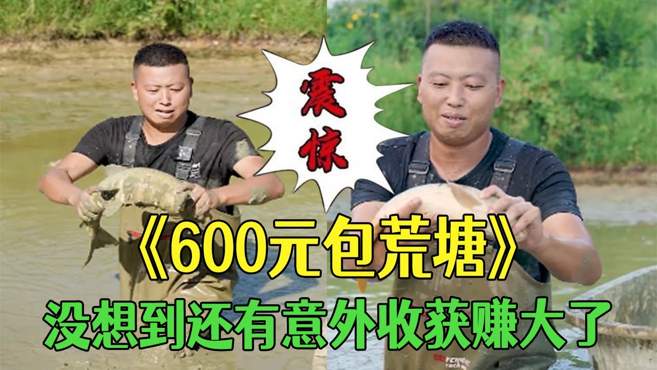 花600元包下壹個荒塘，沒想到還有意外收獲賺大了#小飛哥 #三農 #抓魚 #新農人計劃2026#我要上熱門