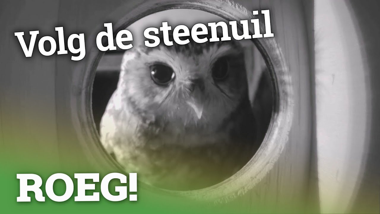 Wijsheid en mystiek op het Landgoed Vennebroek | ROEG! uitzending