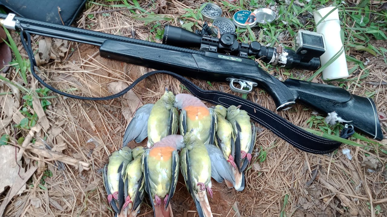 Kabar Gembira ! Lahir kembali Uklik Andalan Heru Hunter ! Langsung test hunting Perdana Auto panen