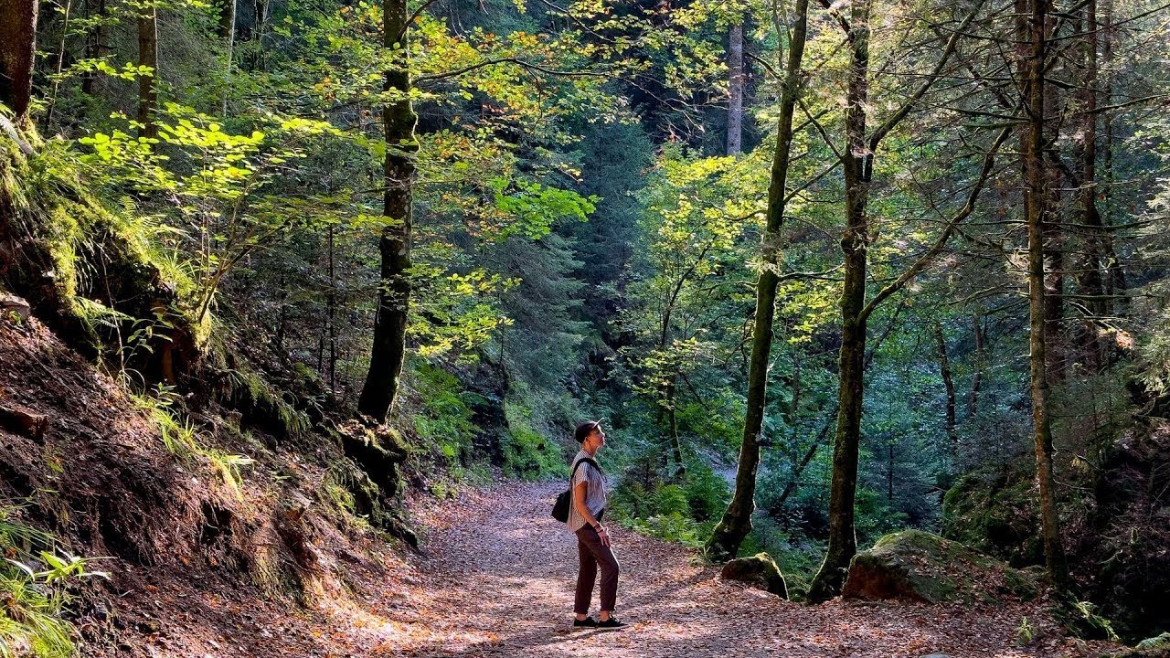 Exploring Germany's Black Forest: A Real-Life Fairy Tale