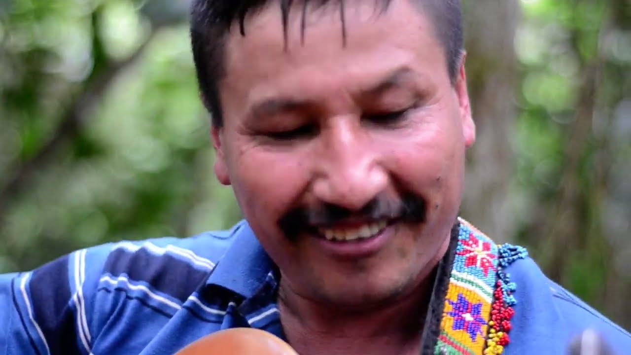El tigre(D.R.A) Taita Javier Dorado (musica del yage)