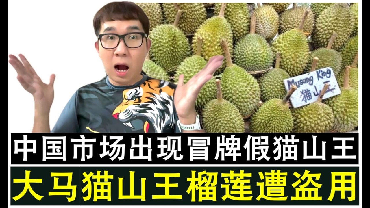 【韭菜人生】第769期 中国市场出现假冒的冒牌猫山王榴莲 猫山王是大马独家注册商标