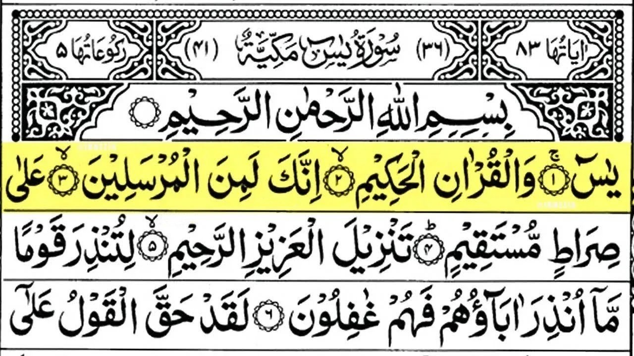 Surah Yaseen Surah Ar Rahman | Best Quran Recitation | Surah Yasin Tilawat | Episode_002