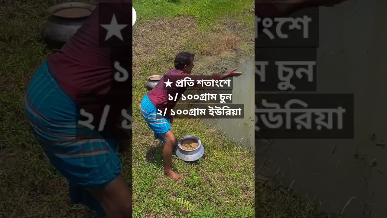 Ингредиенты для приготовления натурального корма для рыб/рыбоводства/корма для рыб.