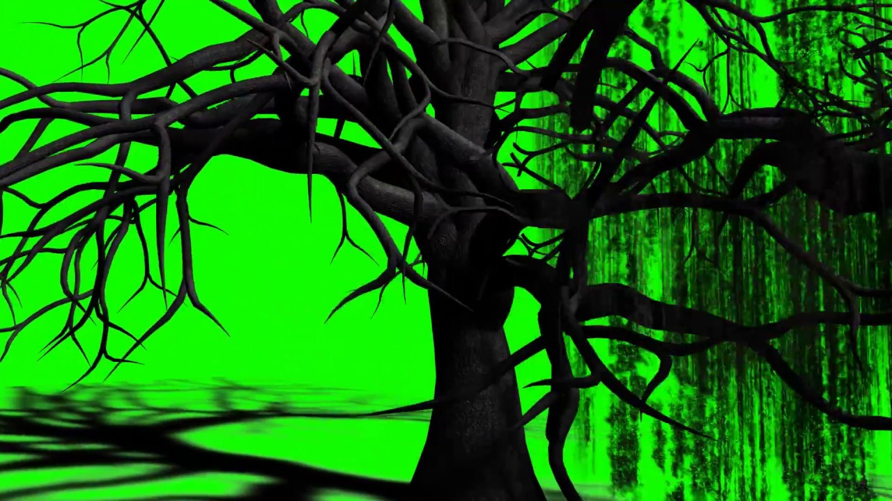 FREE HD Green Screen CREEPY TREES