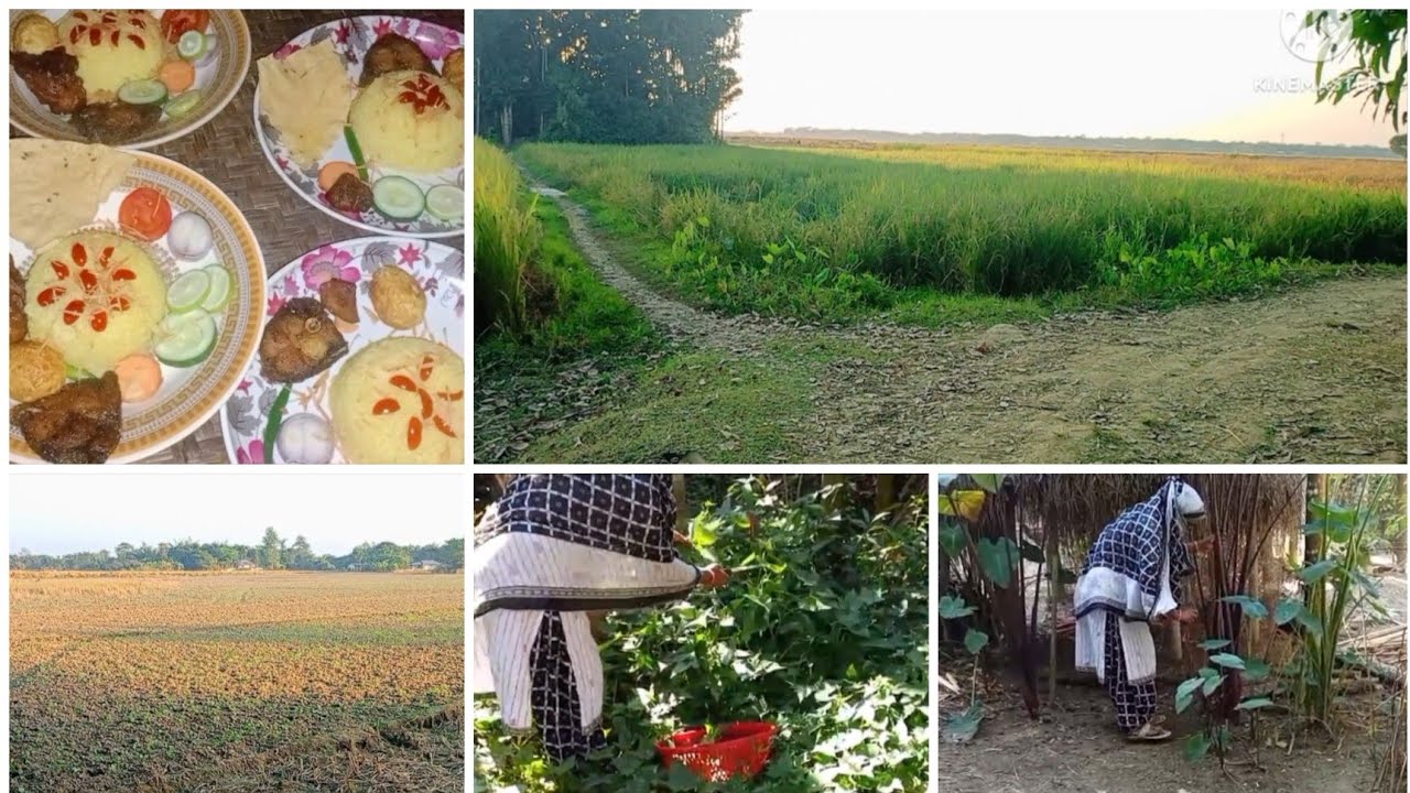 সুন্দর গ্রামে ঘুরতে গেলাম Village Life with Inaya##