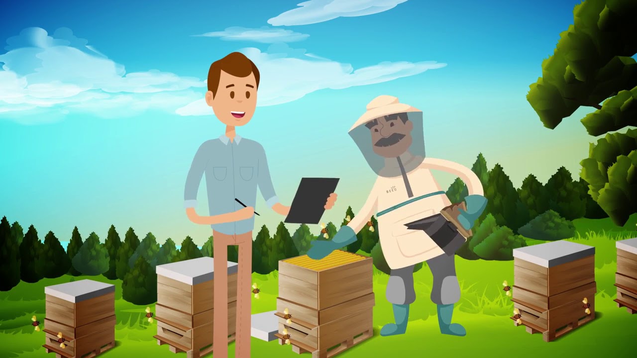 En İyi Yeni Marka Kategorisi - BEEO Propolis