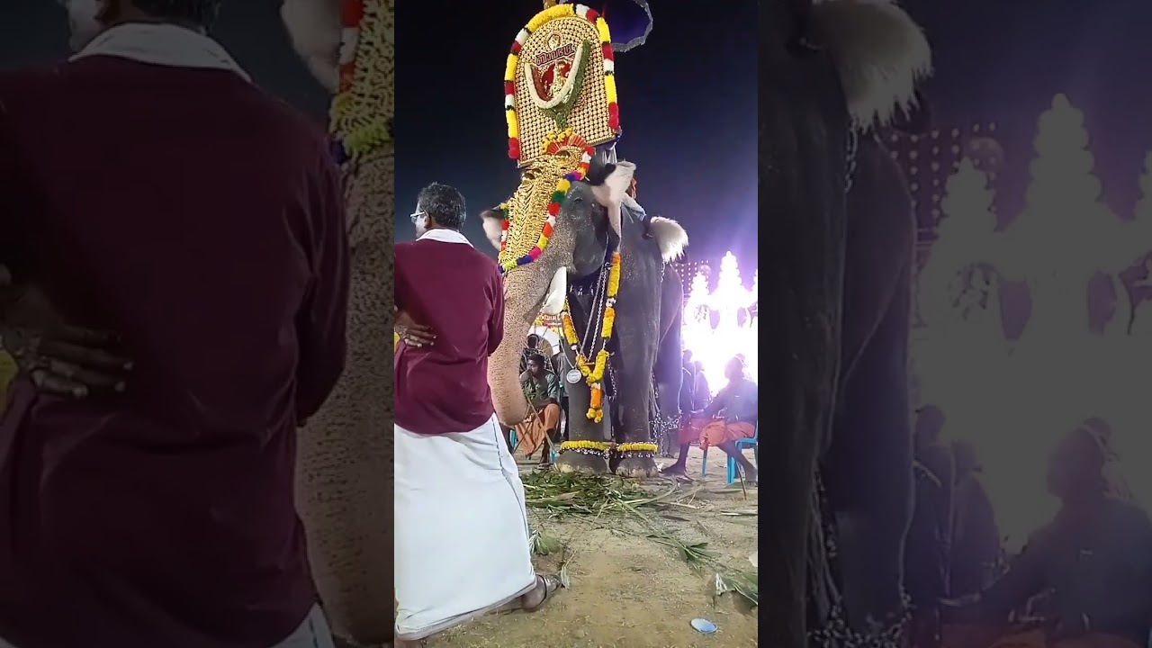 രാജാഗോപാലൻ....