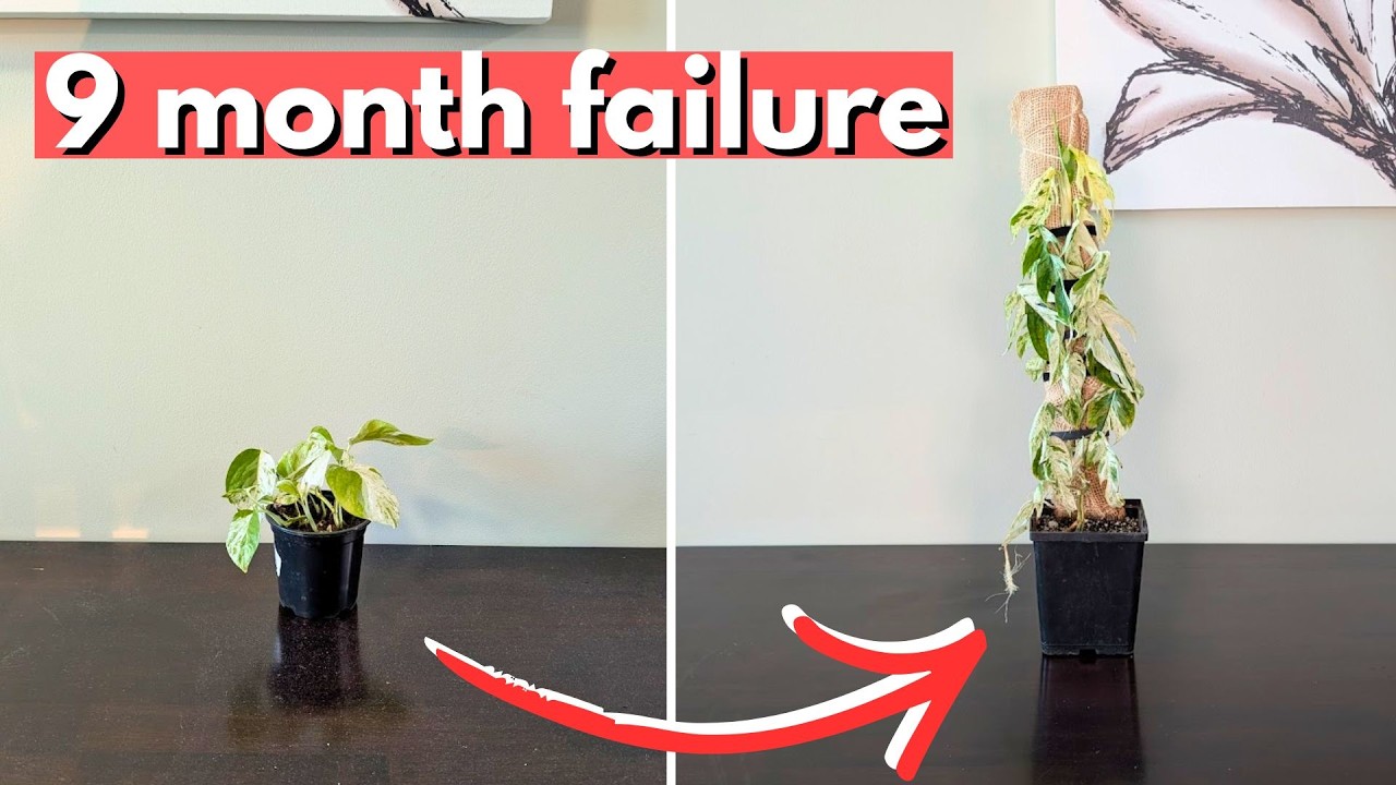 How to grow better plants than a professional