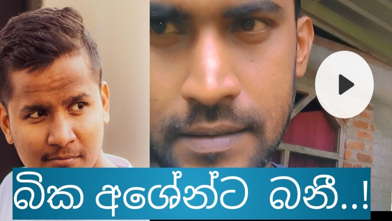 බික අශේන්ට  බනී..! Bika Ashen blame #ashen #ashenvlogs #ashensrilanka