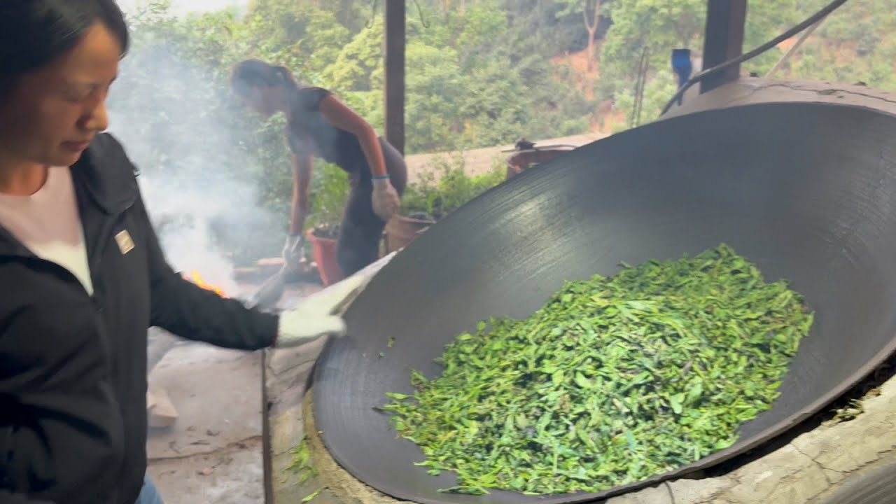 Tea factory nightmares