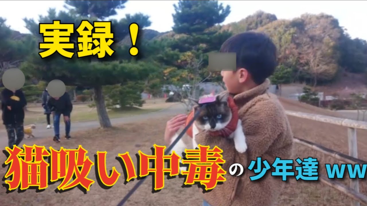 さんぽ中に三人組の少年に絡まれたww