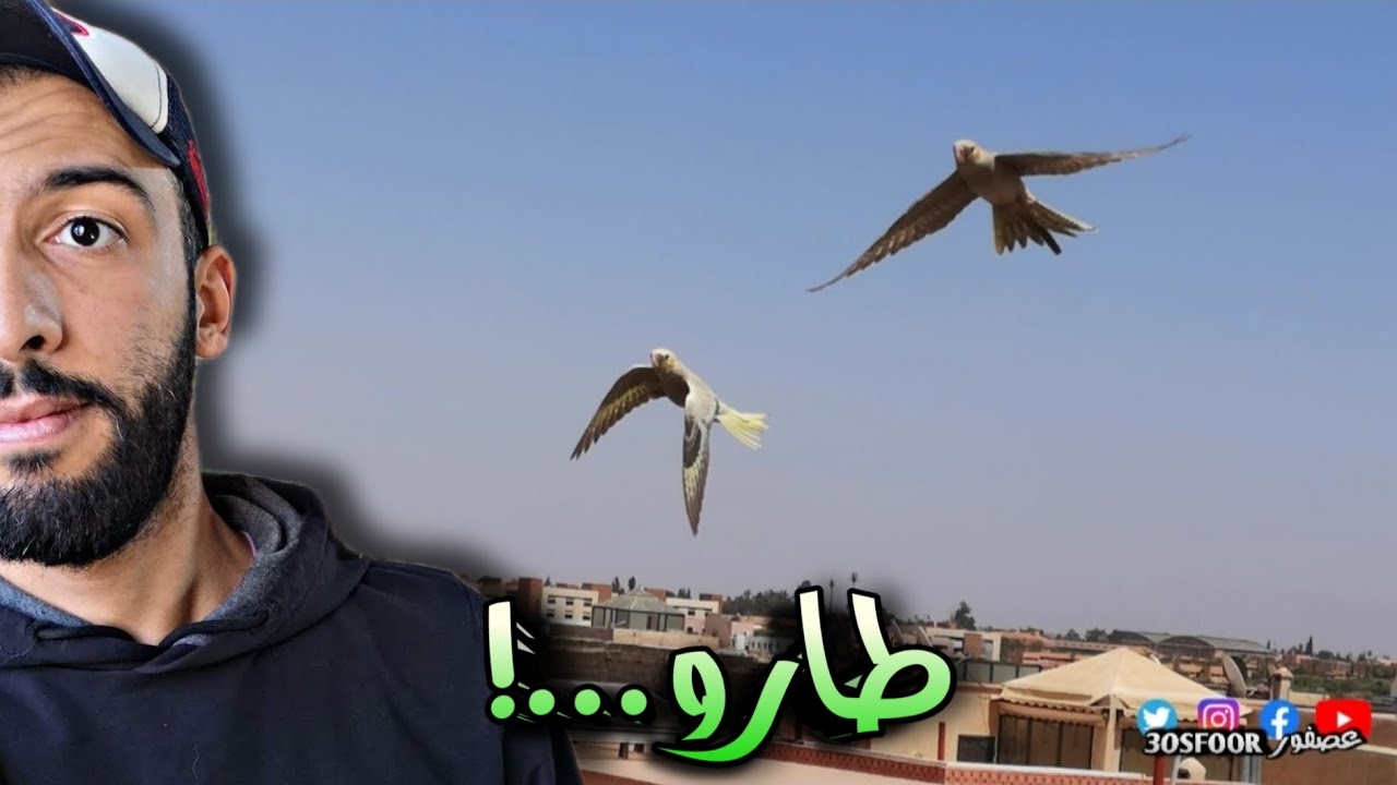 تجربة طيران الكوكتيل 😱 تمت بنجاح 😁 تحدي رائع 😅