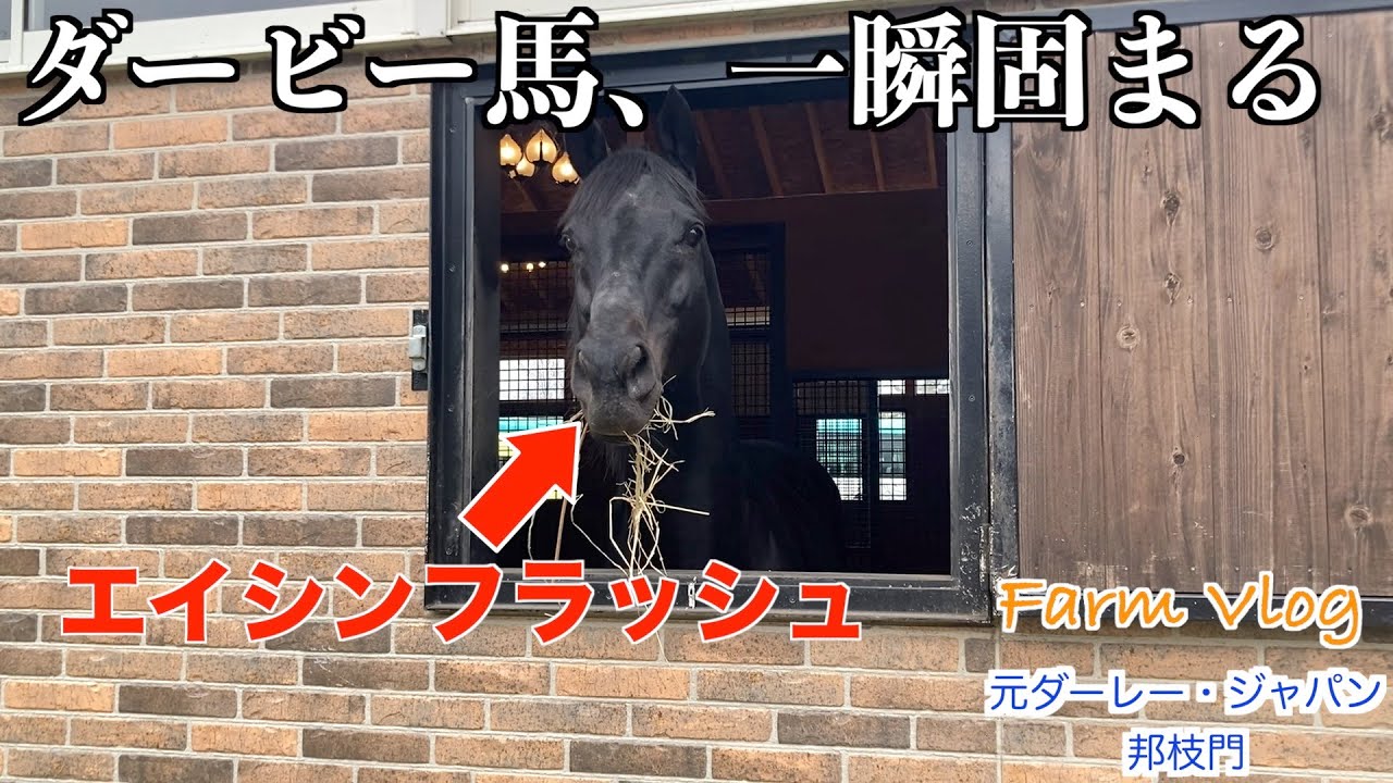 【エイシンフラッシュ】ダービー馬、一瞬固まる！？47選
