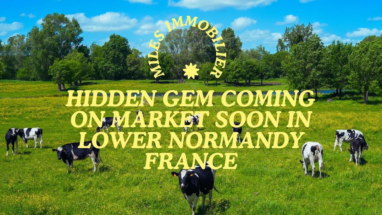 Inside a hidden gem in rural France! - Lower Normandy France - Miles Immobilier