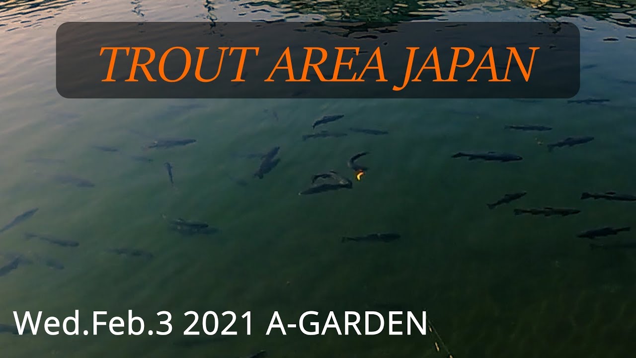 A-GARDEN Feb.3 2021 / Trout Area Fishing in Japan