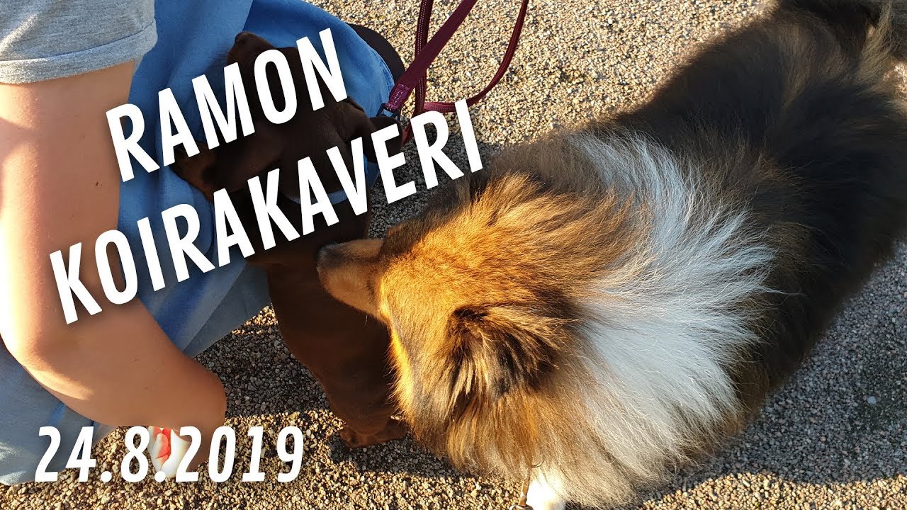 Ramon uusi ystävä (EMPPU SAI KOIRAN!)