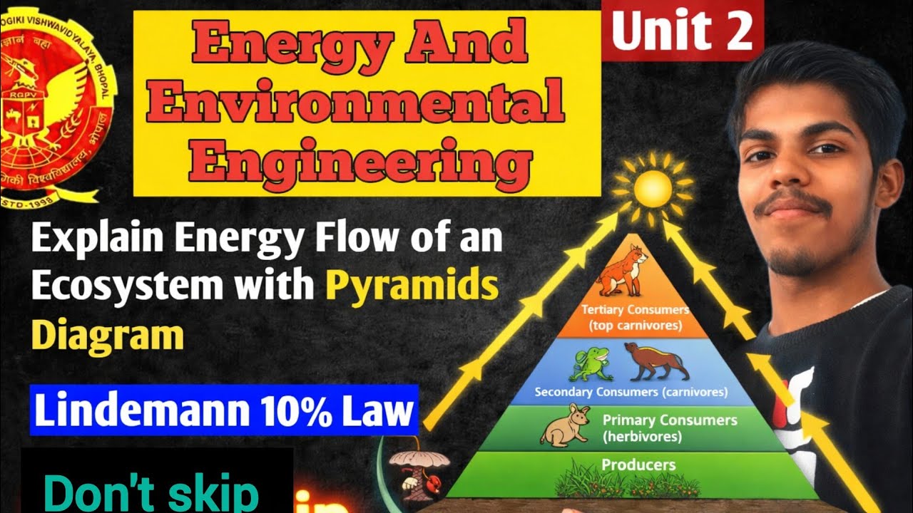 Energy Flow in Ecosystem | Lindemann 10% Law |Energy, Environmental Engineering ES301 | RGPV 3rd Sem