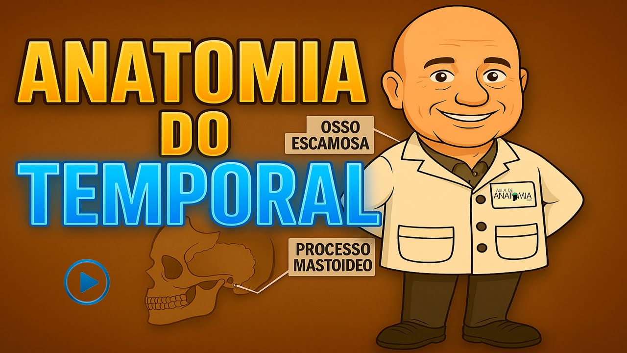 OSSO TEMPORAL #fisioterapia #medicina #anatomy #anatomia #odontologia #odonto #ossos #neurociencia