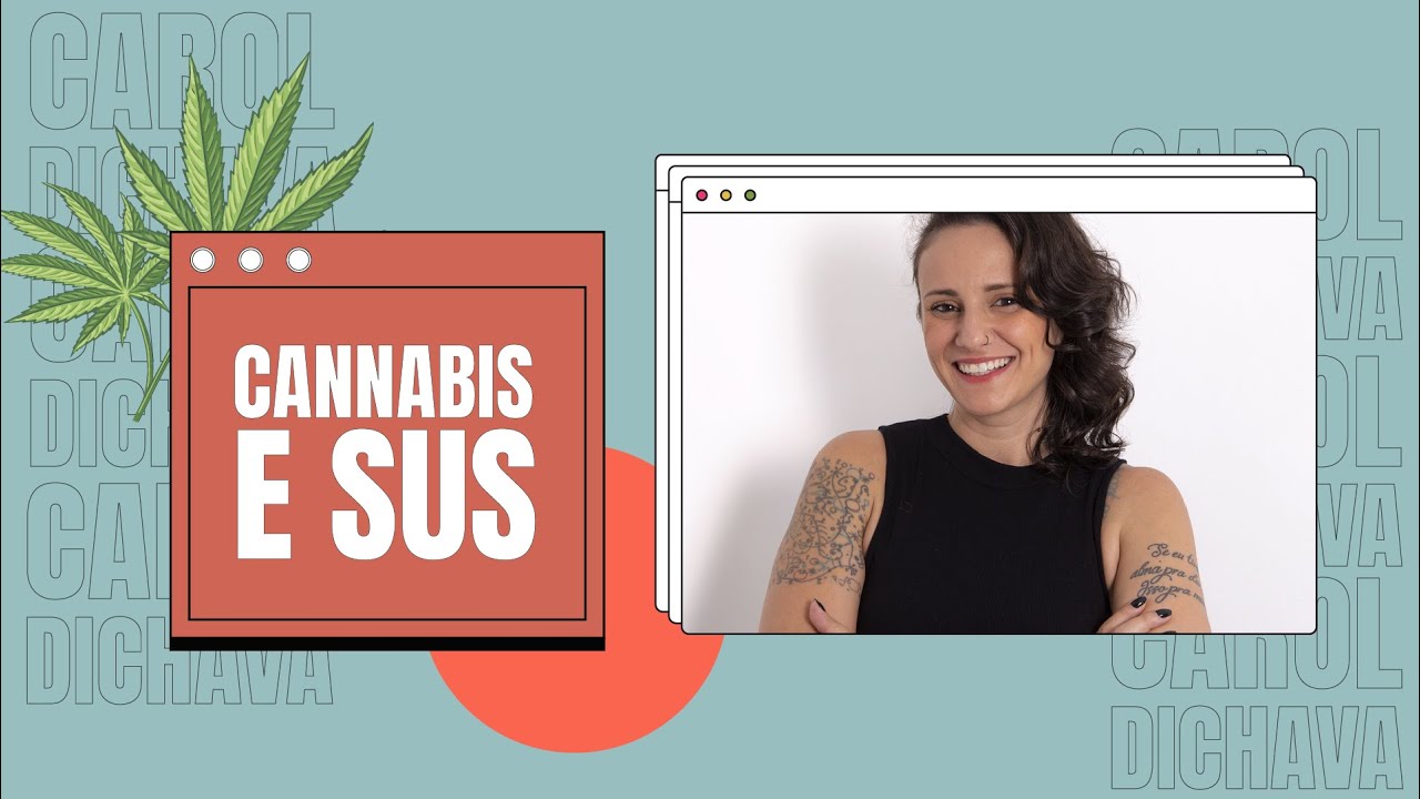 Cannabis e SUS, vem entender melhor! -  Carol Dichava!