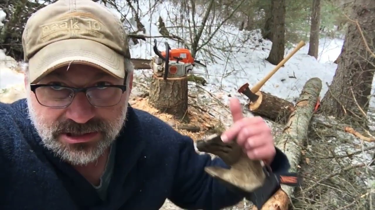 Wasting time in the forest