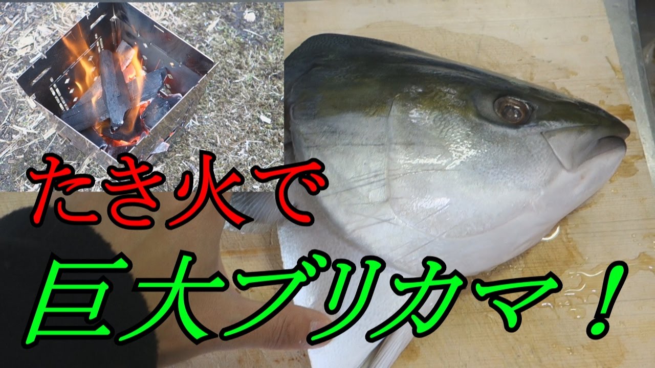海鮮BBQ！「巨大ブリカマを焚火で焼いて食べるぞ」 in 八丈島