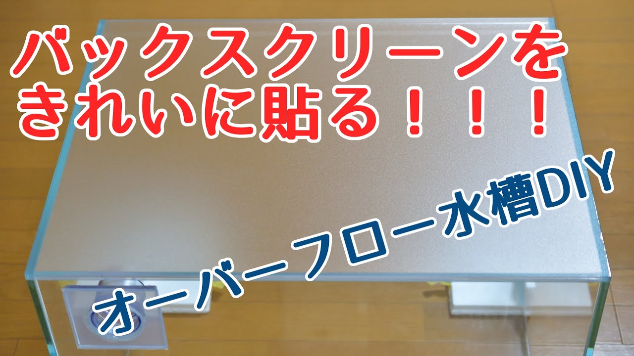 アクアリウム水槽にきれいにバックスクリーンを貼る方法！【オーバーフロー水槽DIY】