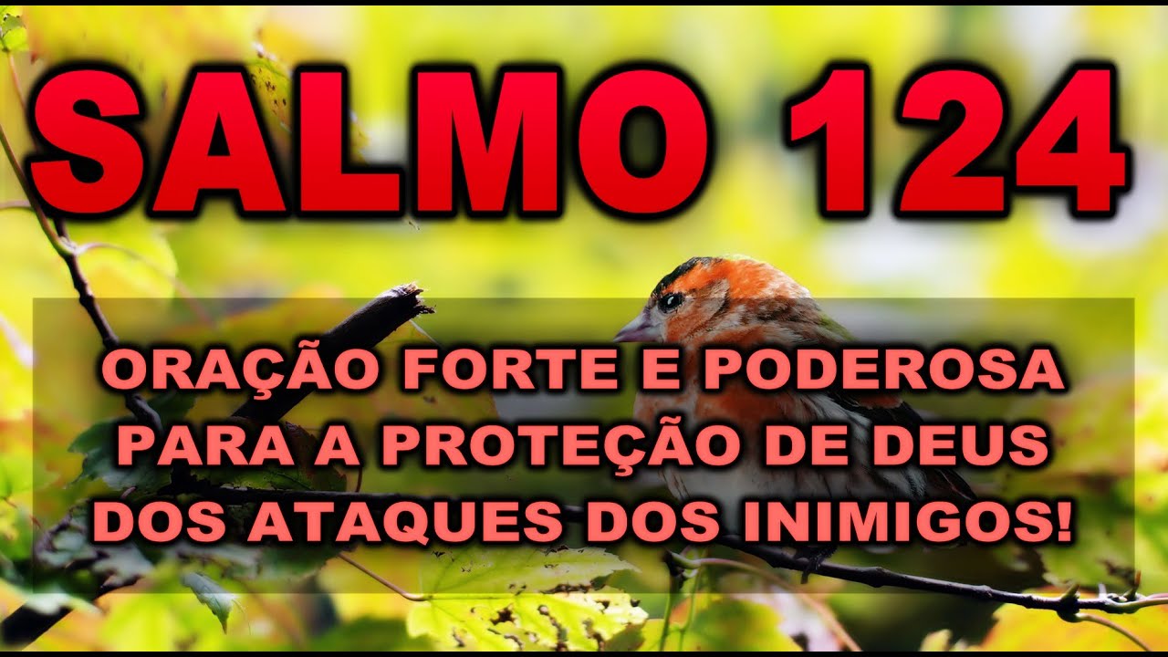 🔴 SALMO 124 ORA&Ccedil;&Atilde;O FORTE E PODEROSA PARA A PROTE&Ccedil;&Atilde;O DE DEUS DOS ATAQUES DOS INIMIGOS!