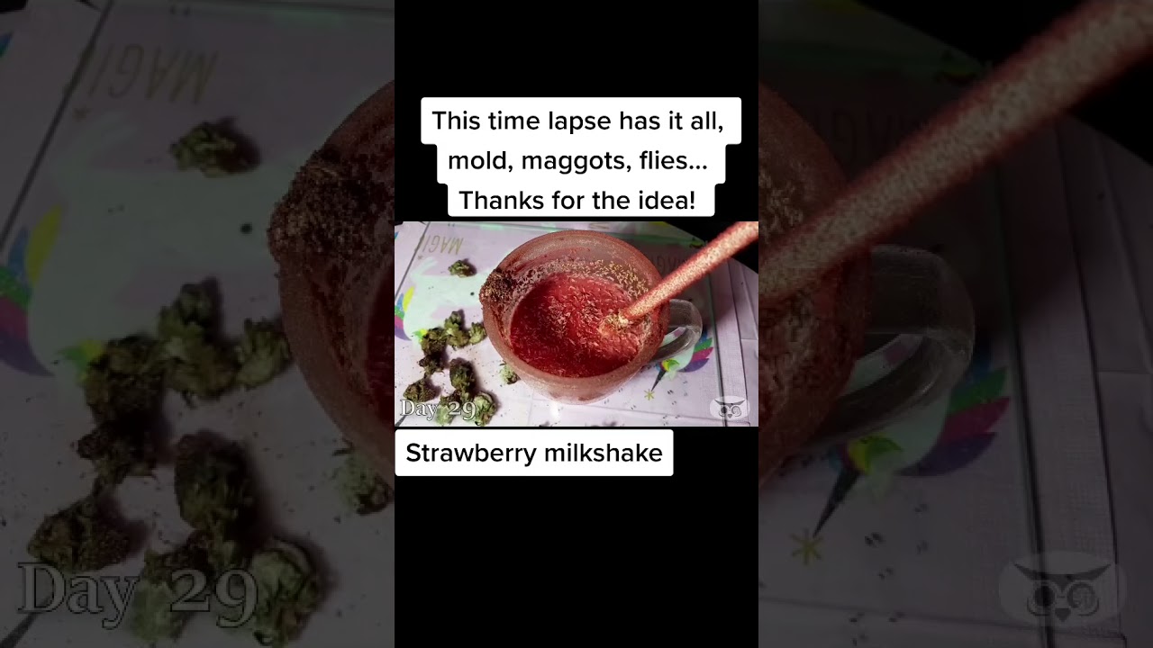Strawberry milkshake |Timelapse Video Time Treats#shorts