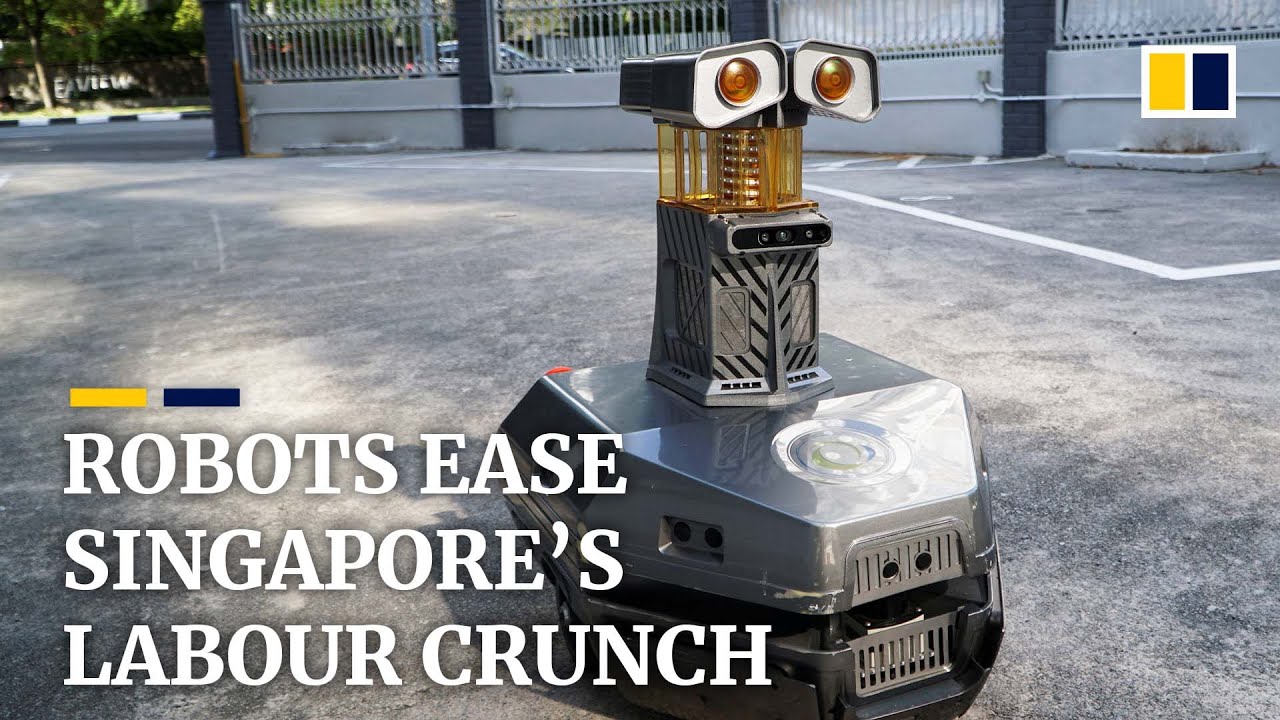 Singapore employs robots to fill labour gaps