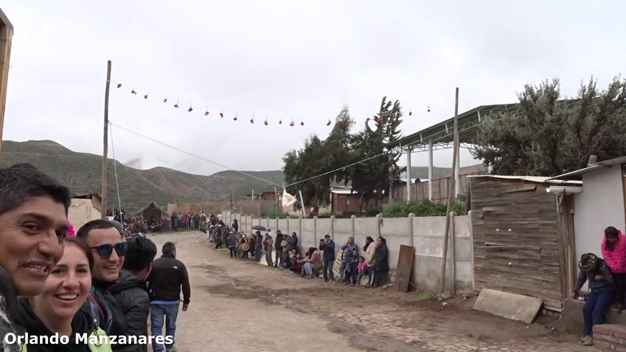 carrera de gallos /carnaval socoroma 2020(COMPARTE EL VIDEO)