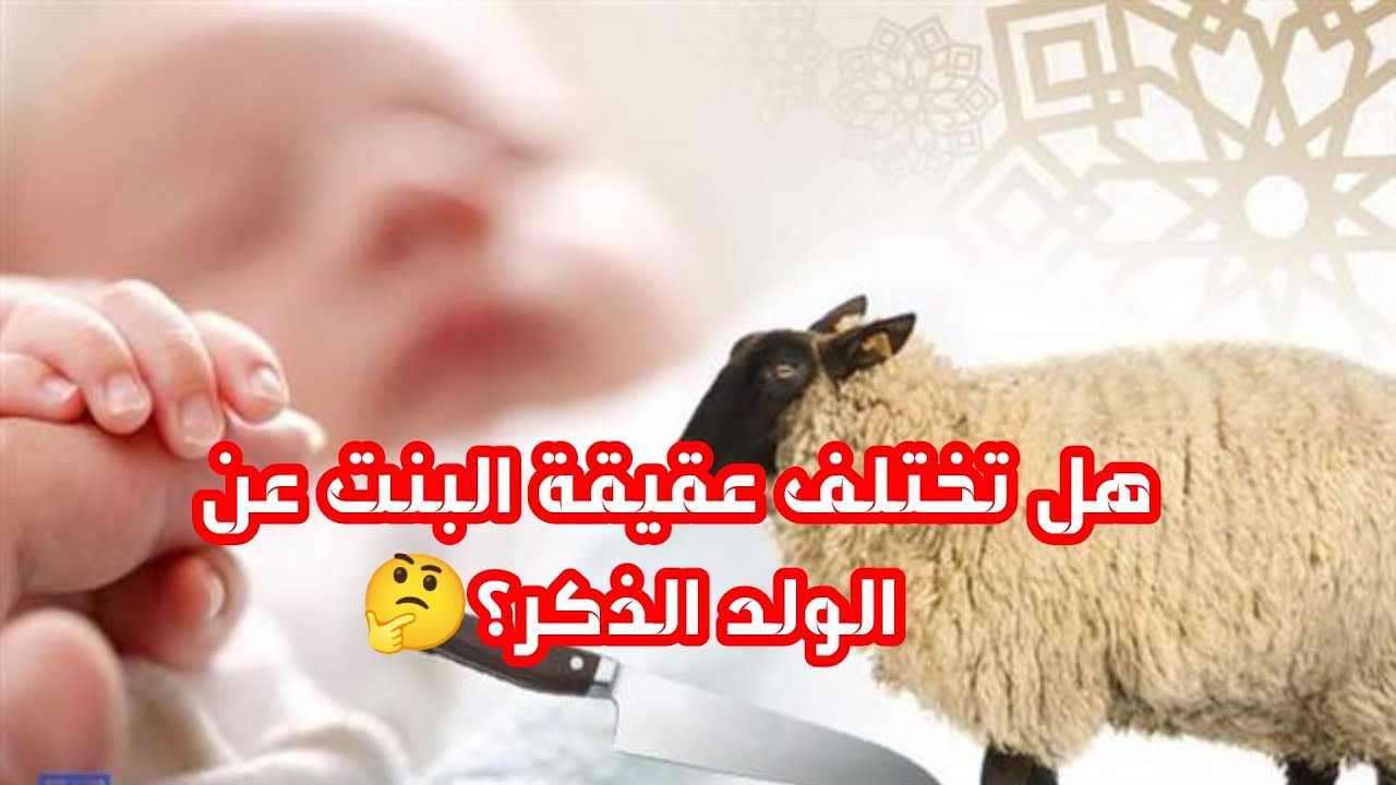 هل تختلف عقيقة الولد عن البنت