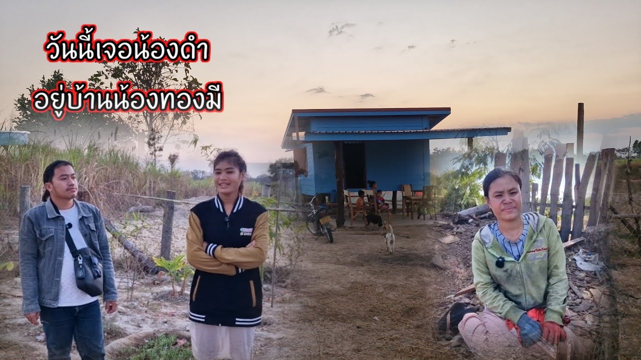 วันนี้เจอน้องดำอยู่บ้านน้องทองมี 31 มกราคม ค.ศ. 2026