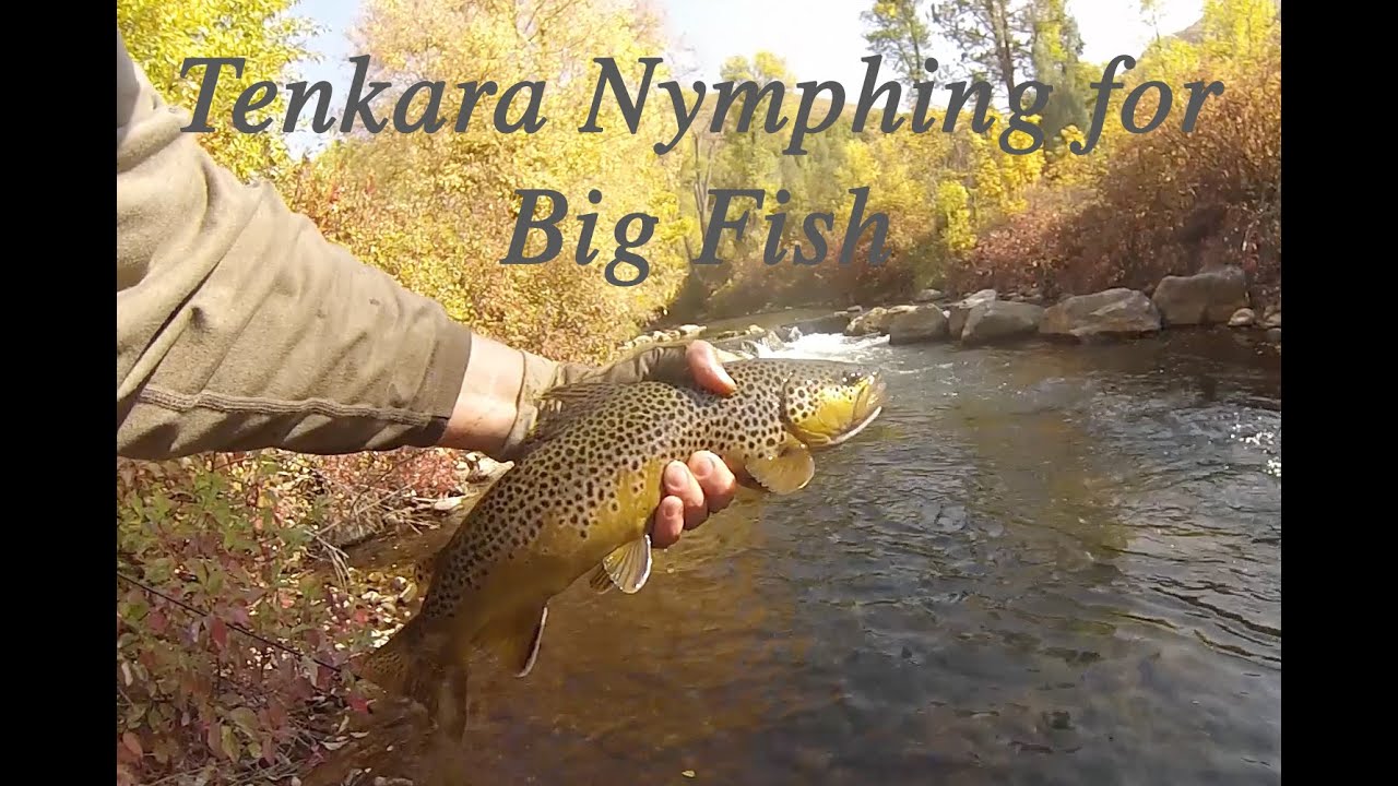 Tenkara Nymphing for Big Fish