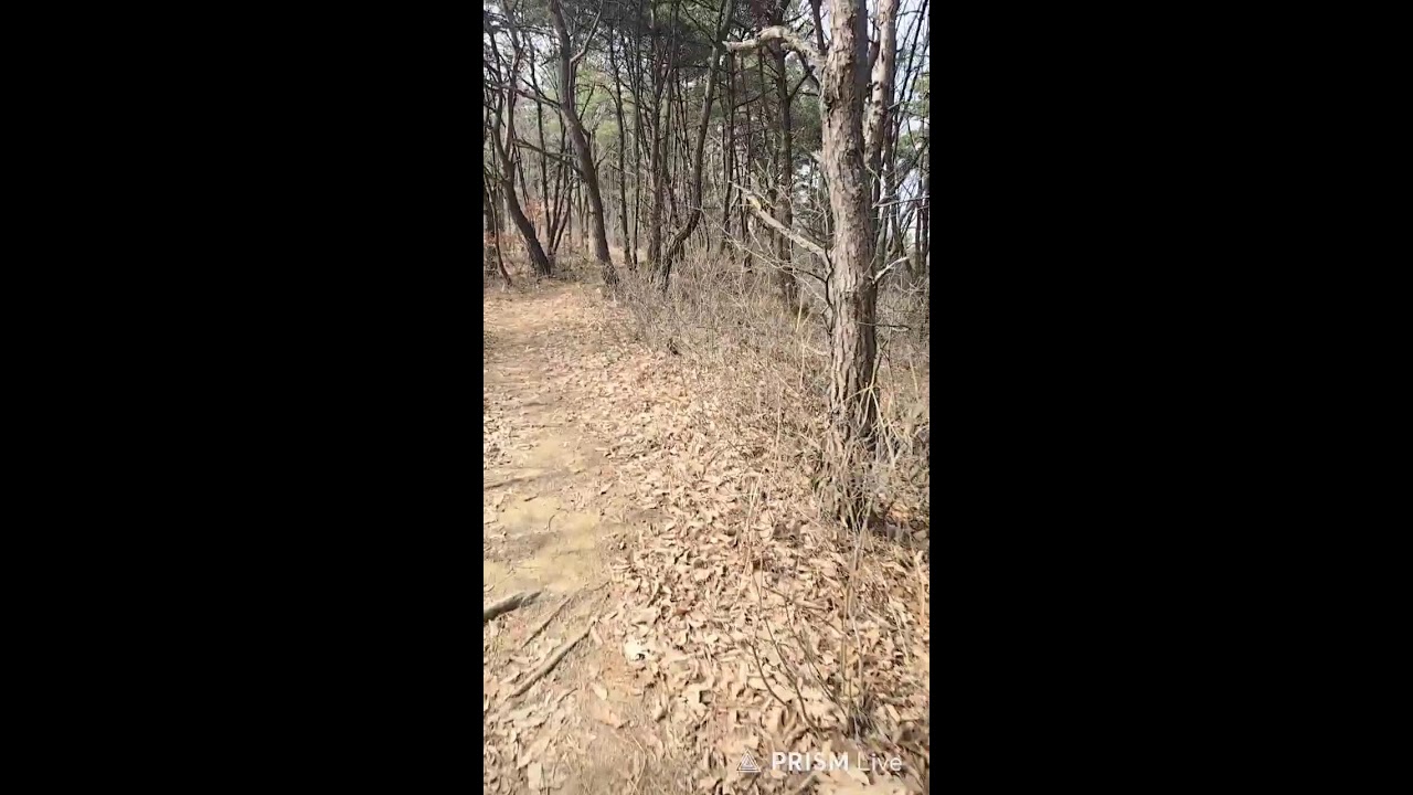 방방 천생산 라이브 방송