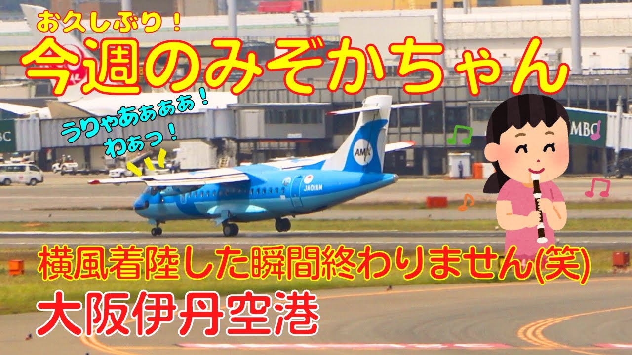 【大阪伊丹空港】今週のみぞかちゃん　2023.5.6　横風が強いと飛行機の着陸はこうなります