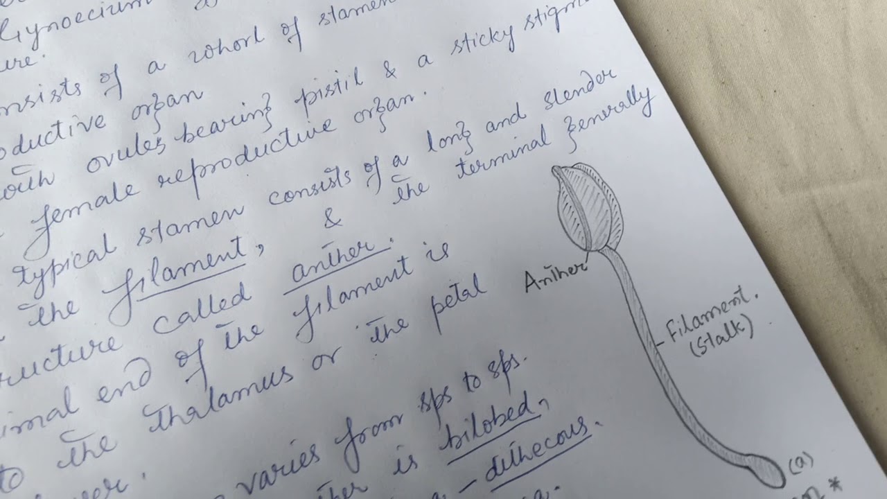 Pre-fertilisation structures & events in Angiosperms