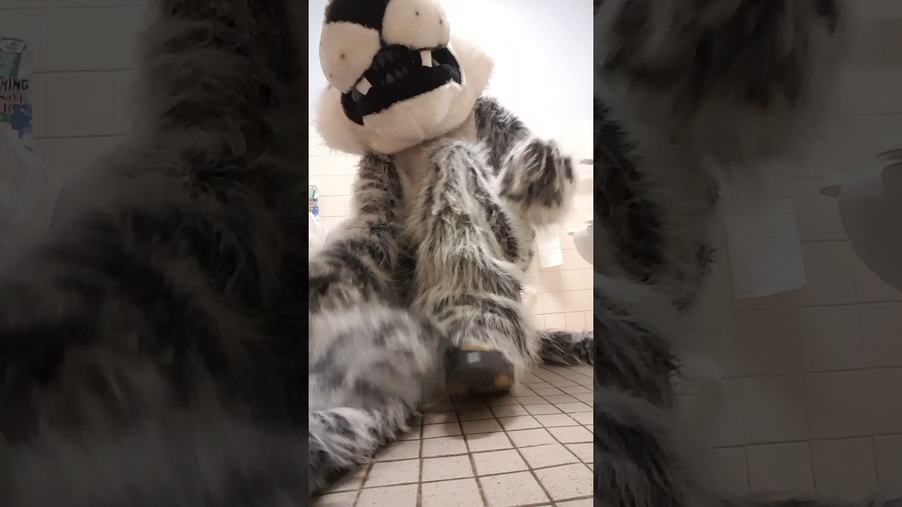 Wolf Suit Up Video 2