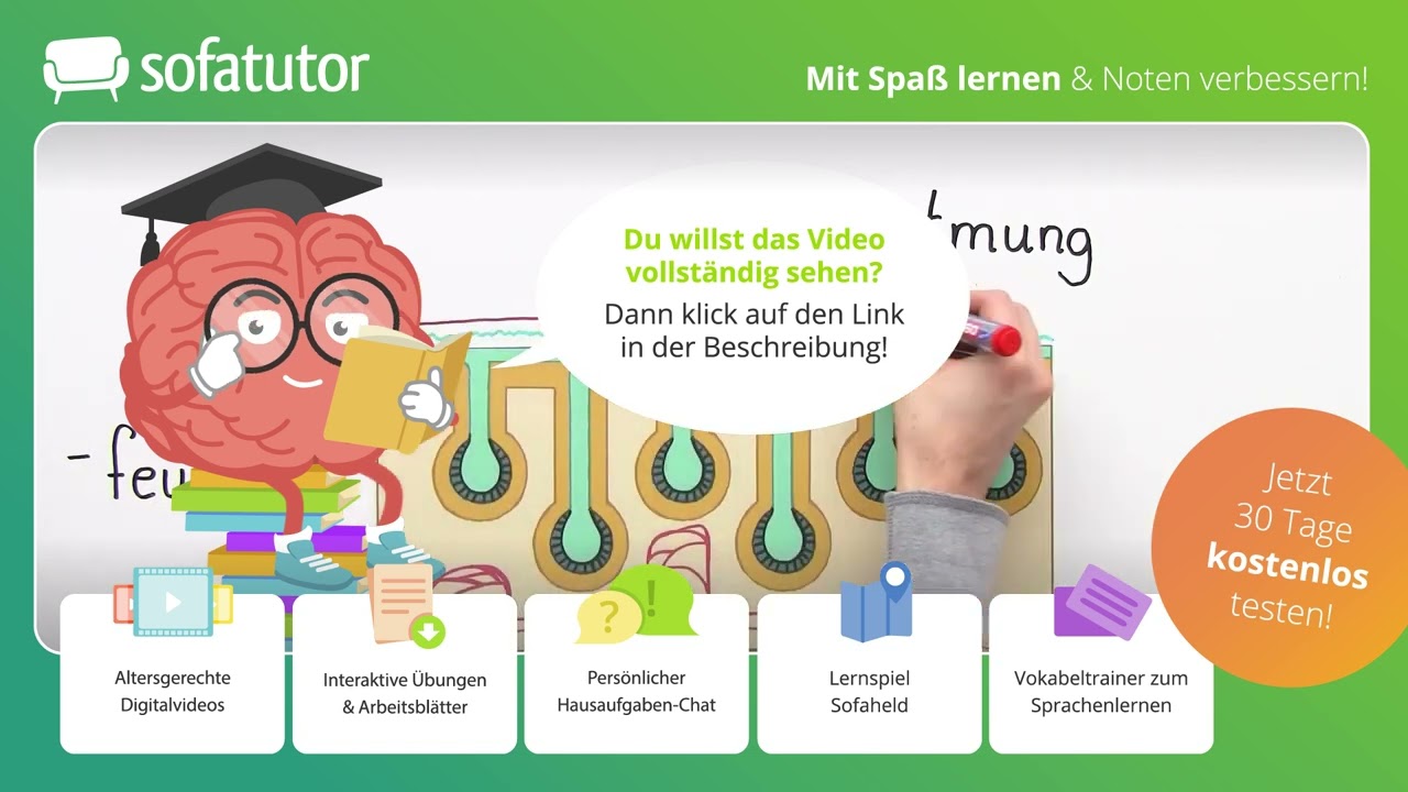 Was sind Lurche? – Steckbrief inkl. Merkmale, Skelett & Fortpflanzung