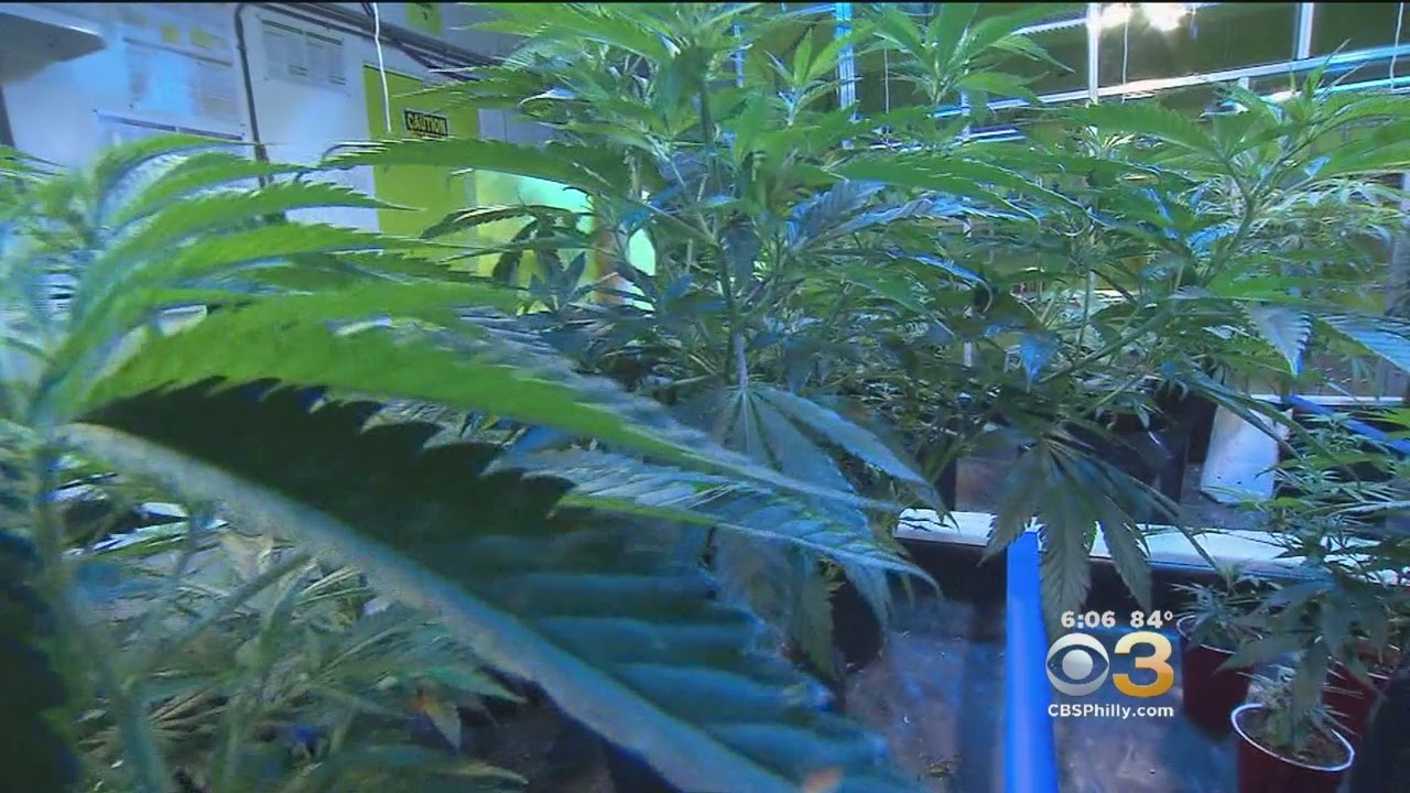 Pennsylvania Names First Recipients Of Medical Marijuana Permits