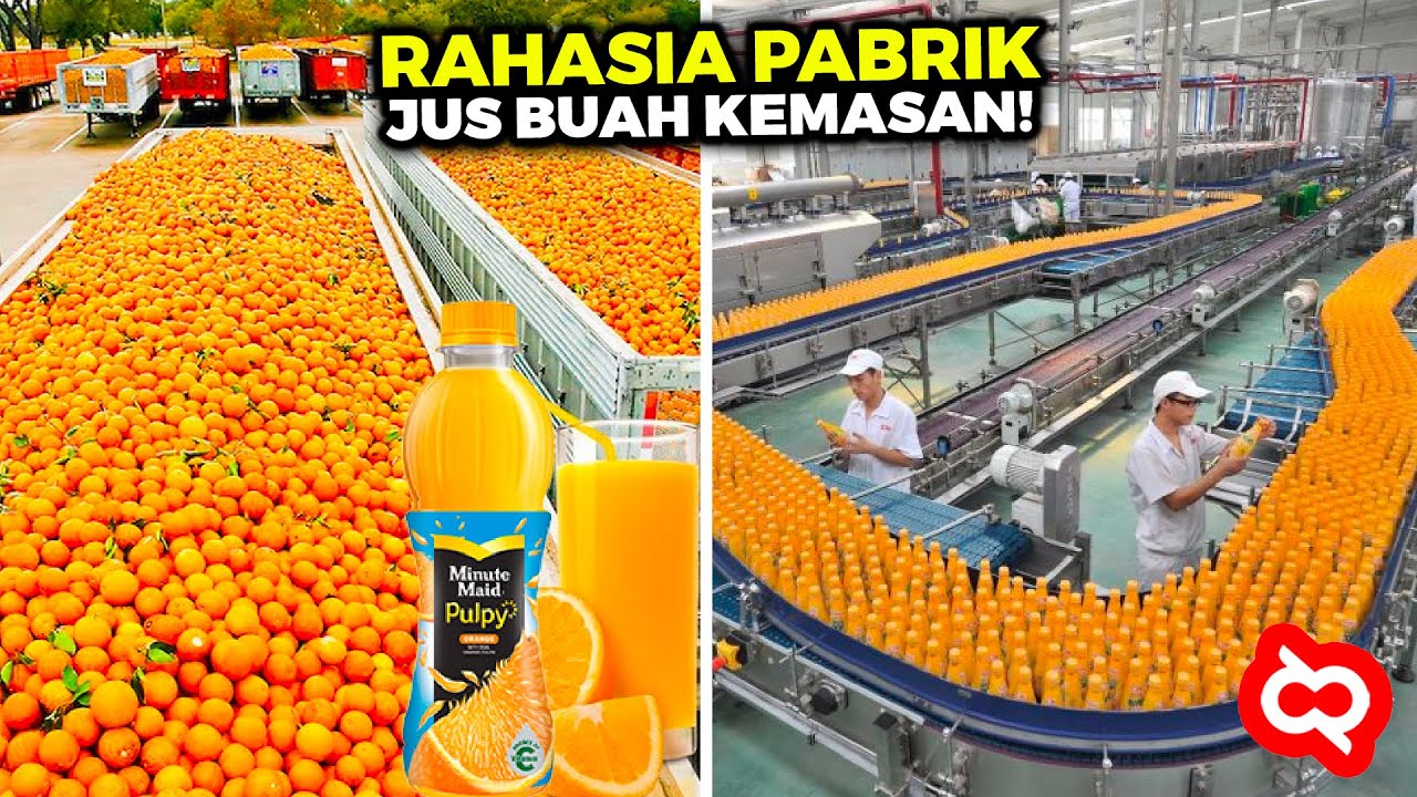Sering Diminum Tapi Gak Tau Cara Bikinnya? Proses Pembuatan Jus Buah di Pabrik Modern Skala Besar